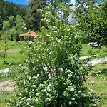 Луксозна вила райски кът 2 - *